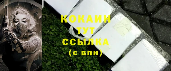 PSILOCYBIN Аркадак